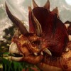 星空传媒旗下频道最新版